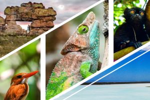 Madagascar Safari Tour with Madagascar Tours Guide