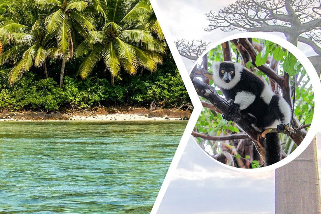 What Are Some Popular Tourist Attractions In Madagascar?