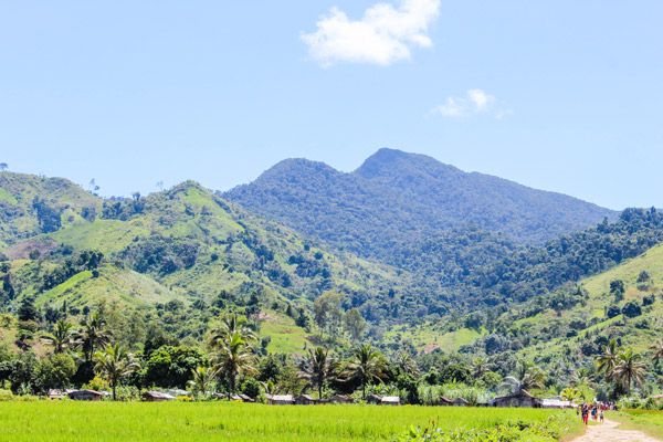 Marojejy National Park, one of Madagascar's most isolated and pristine regions