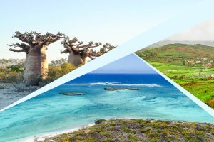 The Secret Island of Insta-Explorers