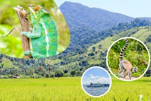 Eco-responsible travel in Madagascar