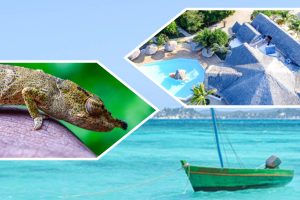 Personalized luxury trave