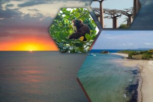 One-week tour in Madagascar