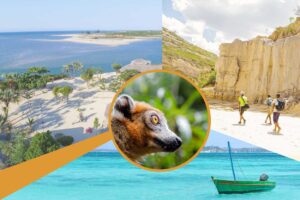 Guided tour in Madagascar