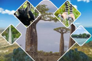 Madagascar discovery tour