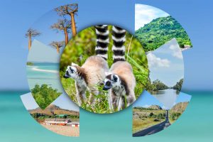 Best tour in Madagascar