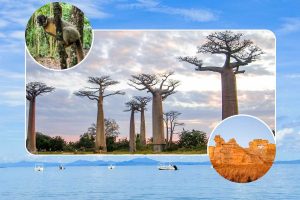 Grand tour of Madagascar