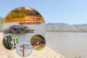 Excursion to Bekopaka