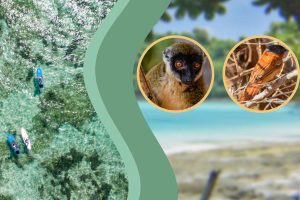 Excursion to Nosy Ankao