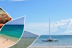 Excursion to Nosy Tsarabanjina