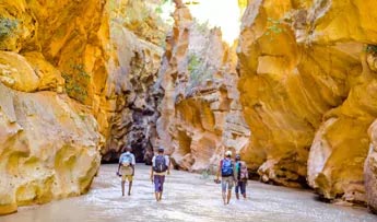 Professional tour guides Mada Tours Guide