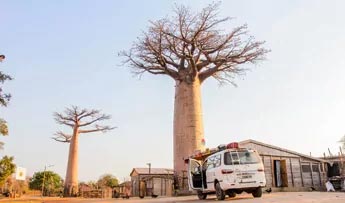 Tourist transportation - Mada Tours Guide