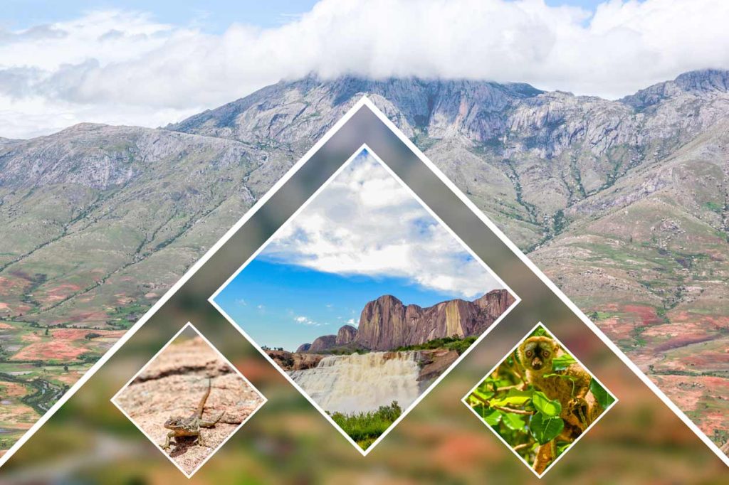 Excursion to Andringitra