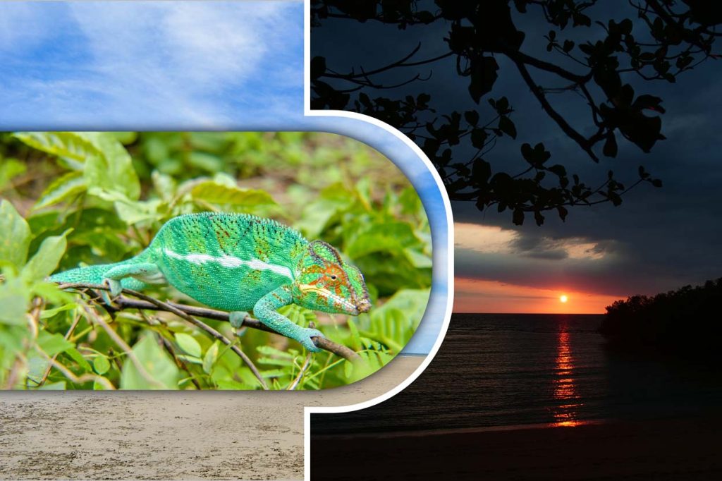 Excursion to Anjajavy