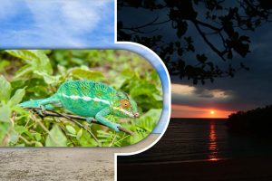 Excursion to Anjajavy