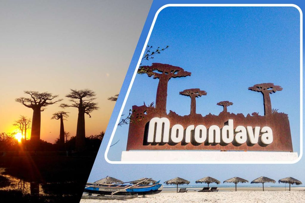 Excursion to Morondava