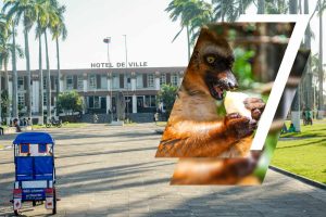 Excursion to Tamatave