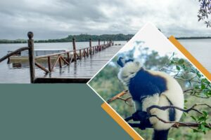 Eastern Madagascar tour 2026