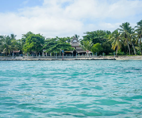 Excursion to Île aux Nattes in crystal-clear waters