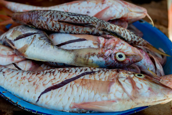 Flavors of fish at the heart of a culinary excursion in Madagascar