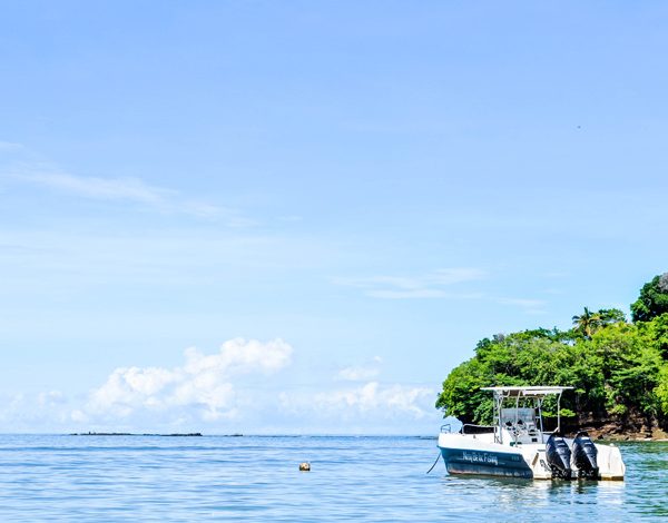 Diving with respect for the environment