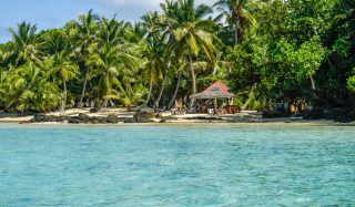 Île aux Nattes in one day