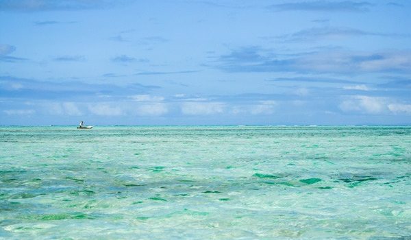 Nosy Boraha, a paradise for marine wildlife