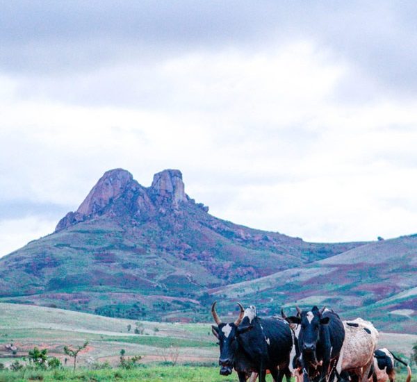 On a motorcycle tour in Madagascar, be sure to respect local customs