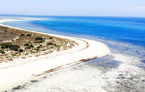 The diving tour in Madagascar allows you to discover and preserve the island's marine wealth.