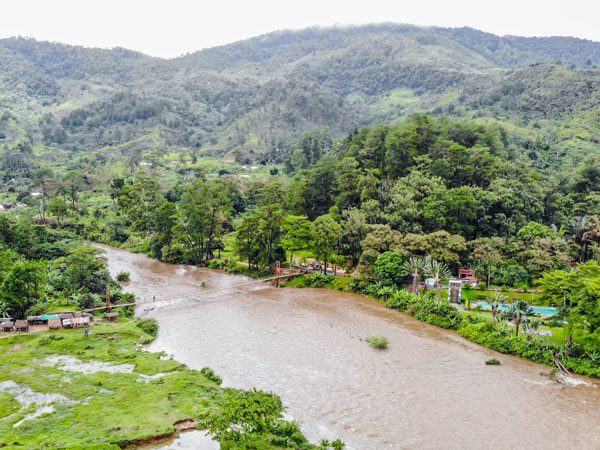 Visit to Ranomafana National Park during an organized tour in Madagascar